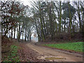 Woodland track near Oak Hill