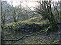 NS4178 : Remains of a lime-kiln by Lairich Rig