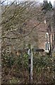 Footpath junction signpost on the Hangers Way, Cheesecombe Farm