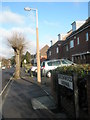 Lamppost in Brookwood Road