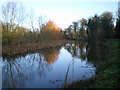 The central part of Haughton Pool