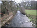 Clow Beck in spate at Brettanby Manor