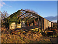 Derelict Shed