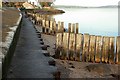 Loch Ryan Shore