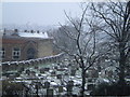 Jewish Cemetery, Hoop Lane NW11