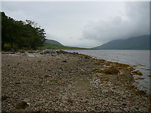 NN0738 : Ardmaddy Bay, Loch Etive by Colin Park