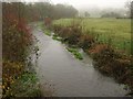 River Till at Stapleford