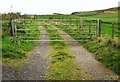 NW9669 : Gate on a track to Dally bay by Ann Cook