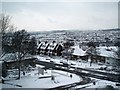 Elm Grove in the snow