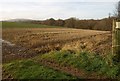 SX6795 : Field and wood west of Spreyton by Derek Harper