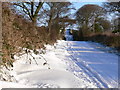 Snow Covered Road