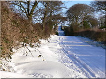 SD5943 : Snow Covered Road by Lakeland Ramblers