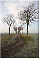 Footpath to Thorpe Green