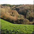 A valley between woods near Lindridge Hill