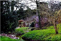 W6075 : Blarney Castle Grounds - Stream & Tower by Joseph Mischyshyn
