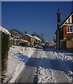 Harlequin Lane, Crowborough