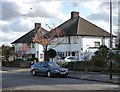 Houses, Leaf Grove