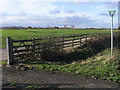 Footpath to The Lodge