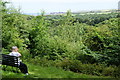 A bench in the Mulgrave Woods