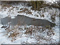 Ice puddle on the Castle Eden Walkway