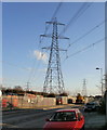 Pylon, East Bank Road, Newport