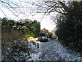 Cars parked at the bottom  end of Little London