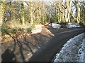 Path and road junction in Oxted Green