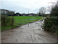 Muddy track to Nant-chwith