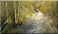 Sluice on the Culter Burn