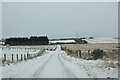 Snowy Road