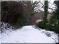 Snowy path in Dawsholm Park