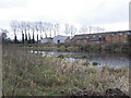 Mill Pond at Ewart Riddell Weaving Factory, Donaghcloney.