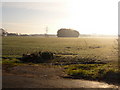 Shawbirch: view across a frosty field