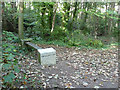 Literary bench at Durlston Country Park