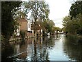 Looking east along the River Lea at Ware