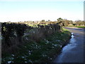 Bends in Chidham Lane