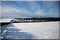 TL5953 : Snow-covered farmland and a huge sky by Bob Jones