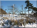 Farmland under snow