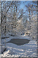 Frozen pond in Adkin