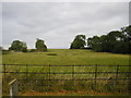 Pasture behind the Church of St Medard & St Gildard, Little Bytham