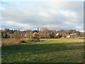 Fields near Epperstone