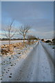 Road North of Nether Finlarg Farm