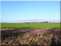 Countryside near North Wraxall