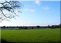 Countryside near Littleton Drew