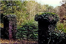 M1455 : Cong - Gate near Cong Abbey by Joseph Mischyshyn