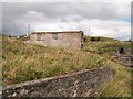 View north towards the ruined building and sewage outlet pipe south of Ballyhornan