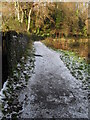 Mid section of the Wey Path South