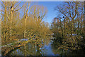 River Mole at Betchworth