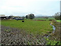 Grazing land east of Whitehouse Farm