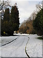 Wigan - Snowy Path In Mesnes Park